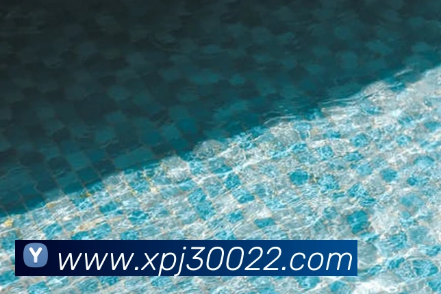 xpj服务体系
